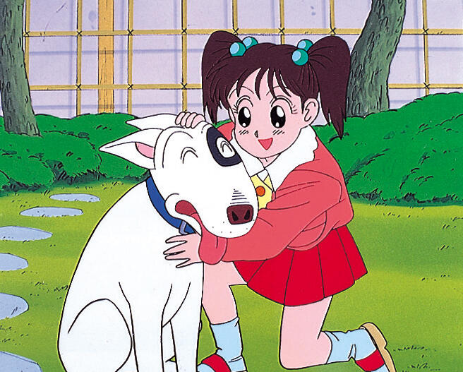 家有賤狗第1~40話(已完結)